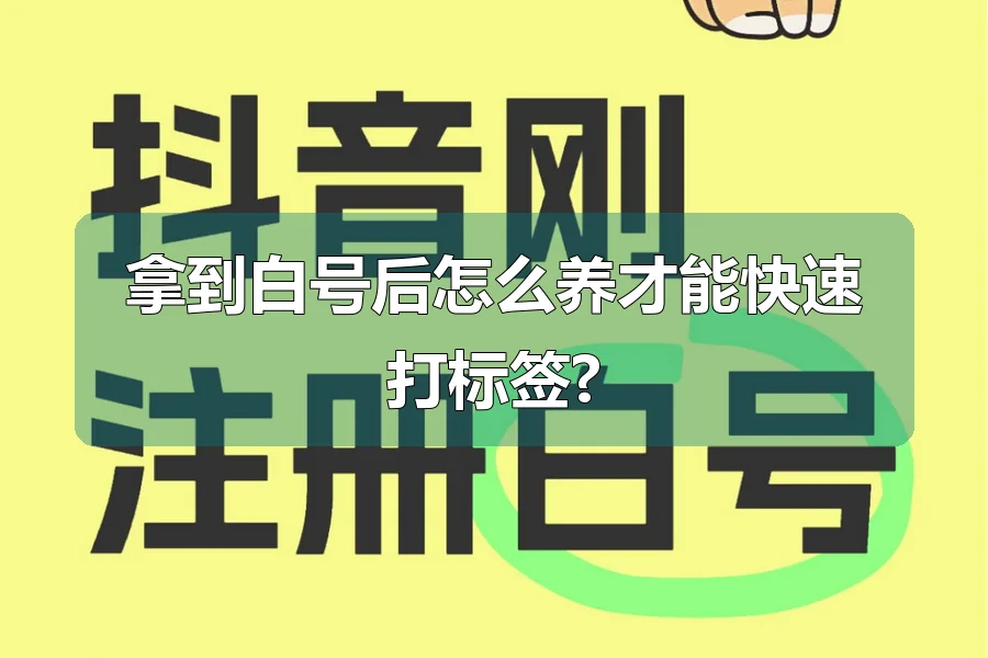 拿到白号后怎么养才能快速打标签?